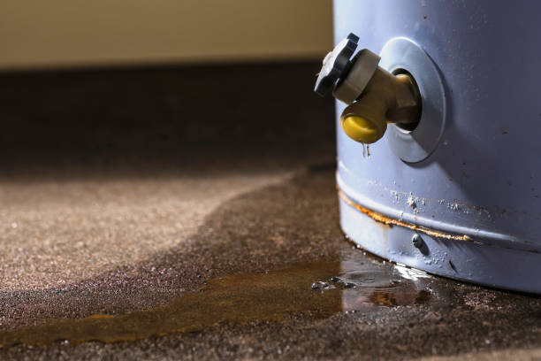 Best Carpet water damage restoration  in Cabot, AR