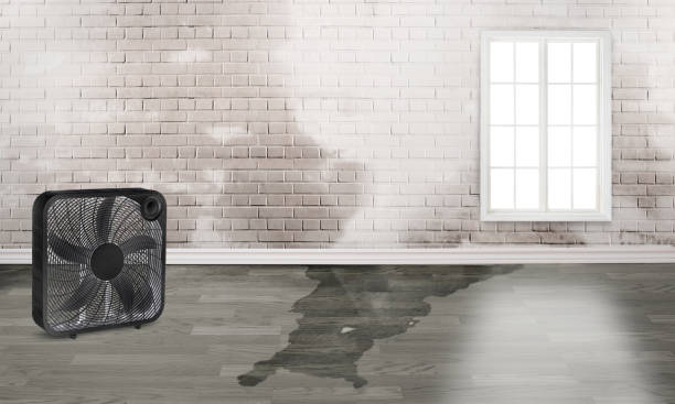Trusted Cabot, AR Water damage restoration Experts
