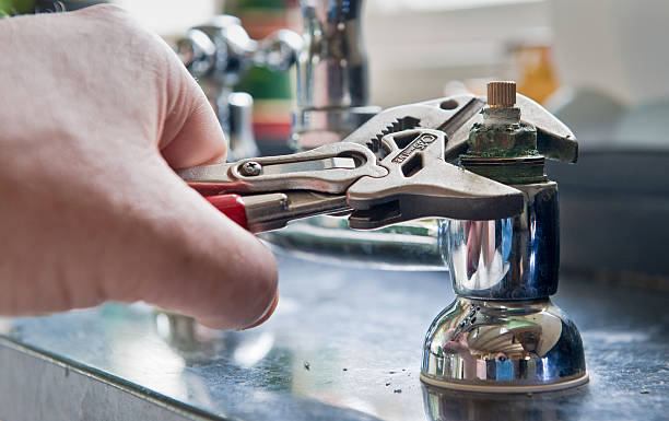 Best Mold removal after water damage  in Cabot, AR