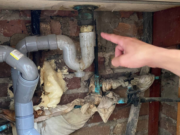Best Ceiling water damage repair  in Cabot, AR
